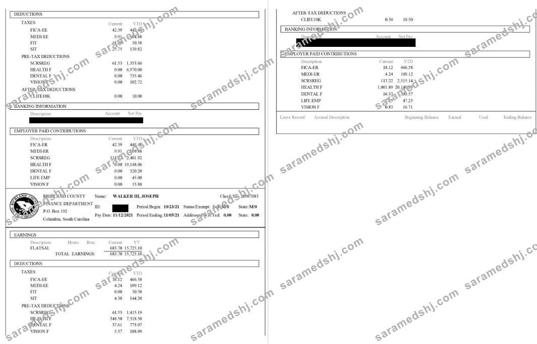 Richland County Paystub